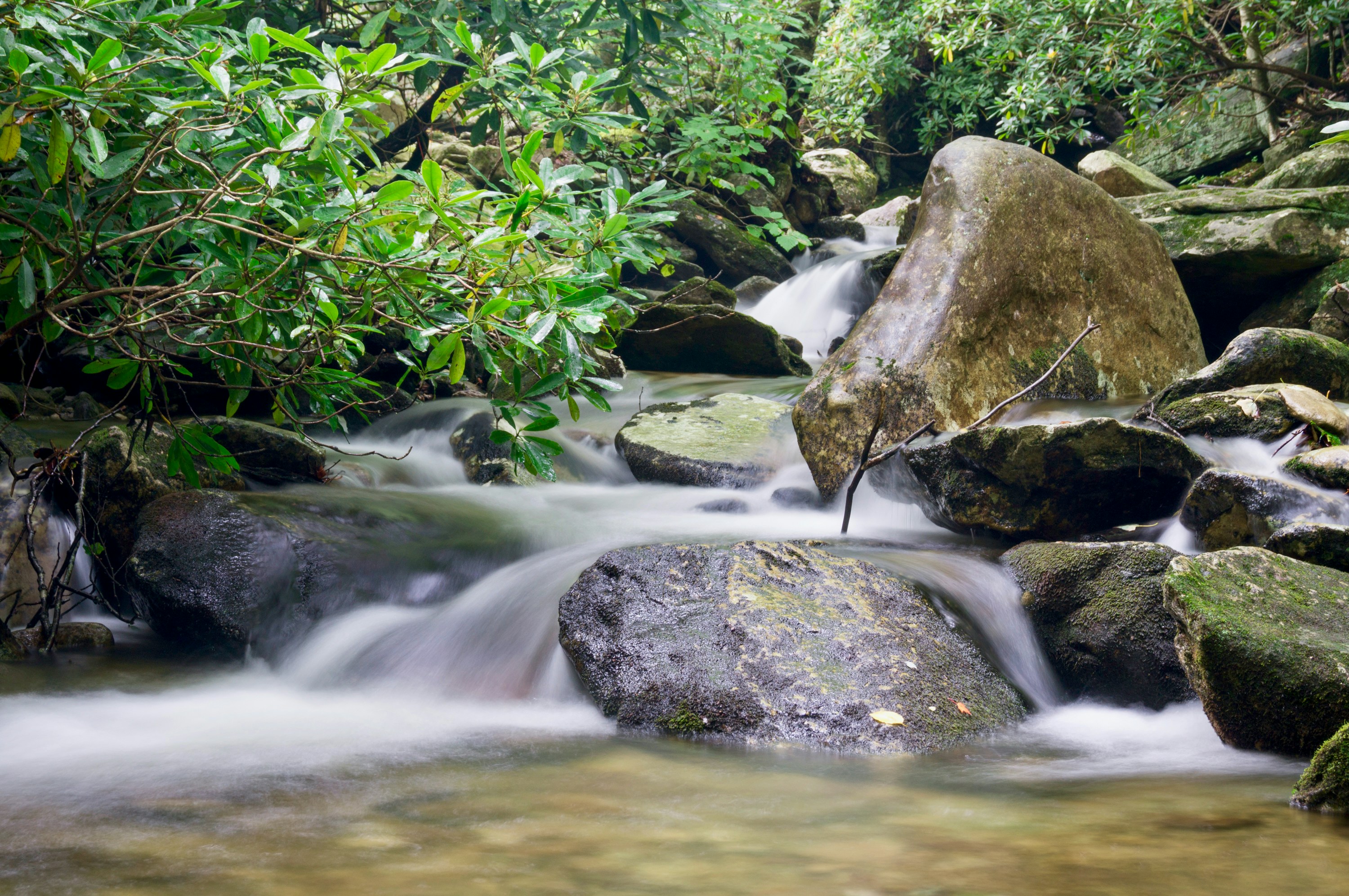 river picture